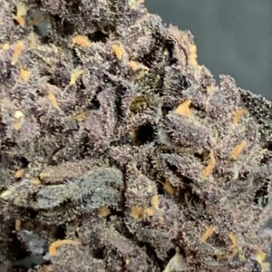 La Purple Breizh 💜